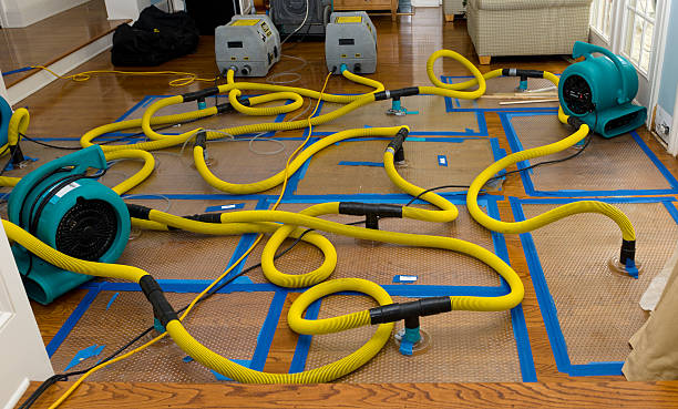 Professional Crawl Space Water Removal technician working in Quinlan, TX